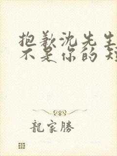 抱歉沈先生孩子不是你的 短剧