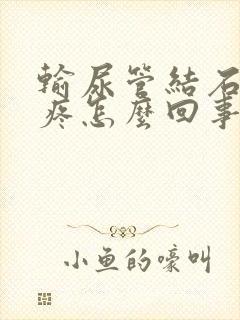 输尿管结石屁股疼怎么回事