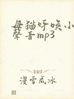 母猫呼唤小猫的声音mp3