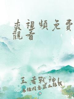 爽视频免费在线观看