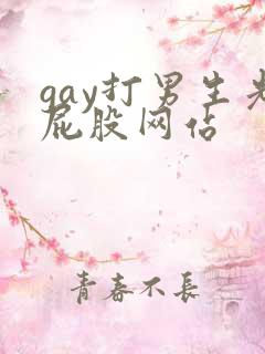 gay打男生光屁股网站