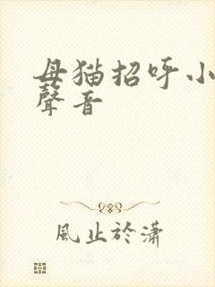 母猫招呼小猫的声音