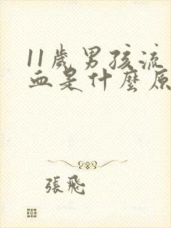 11岁男孩流鼻血是什么原因