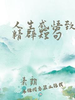 人生感悟致自己精辟短句