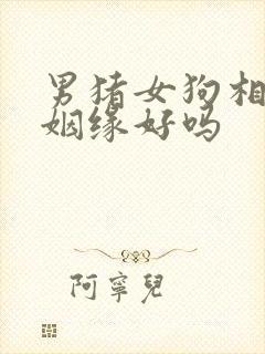 男猪女狗相配的姻缘好吗