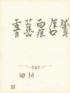 舌苔白厚腻舌边有齿痕口臭