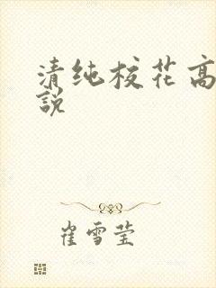清纯校花高h小说