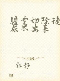 胆囊切除后小便尿不出来