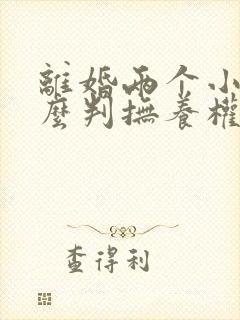 离婚两个小孩怎么判抚养权