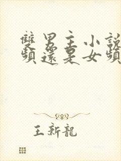 双男主小说是男频还是女频