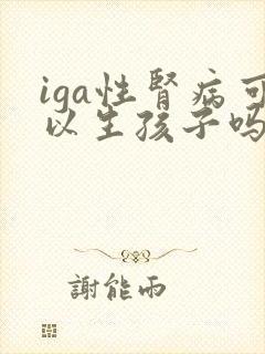 iga性肾病可以生孩子吗