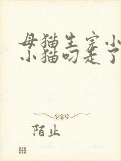 母猫生完小猫把小猫叼走了怎么办