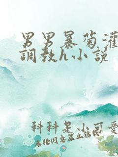 男男暴菊灌浣肠调教h小说