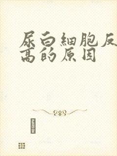 尿白细胞反复升高的原因