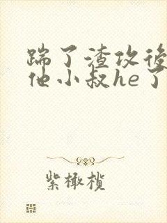 踹了渣攻后我和他小叔he了小说免费阅读