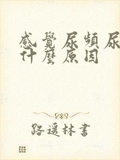 感觉尿频尿少是什么原因