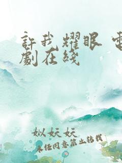 许我耀眼 电视剧在线