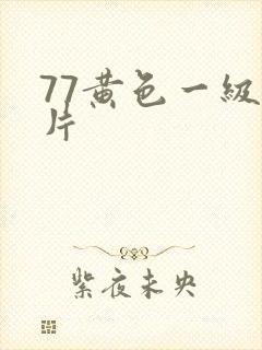 77黄色一级淫片