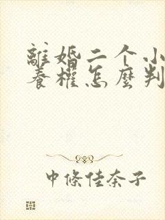 离婚二个小孩抚养权怎么判