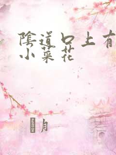 阴道口上有白色小菜花