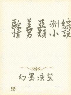 欧美亚洲综合激情另类小说