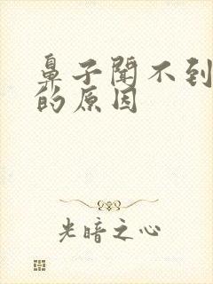 鼻子闻不到味道的原因