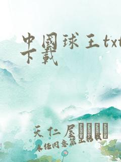 中国球王txt下载