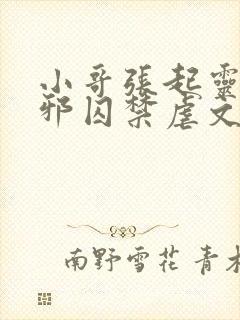 小哥张起灵被吴邪囚禁虐文