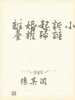 离婚起诉小孩抚养权归谁