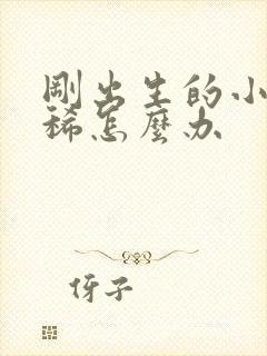 刚出生的小狗拉稀怎么办