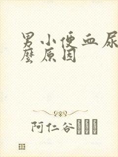 男小便血尿是什么原因