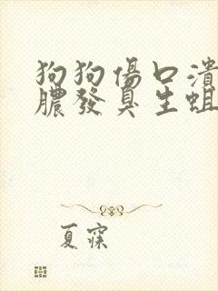 狗狗伤口溃烂化脓发臭生蛆