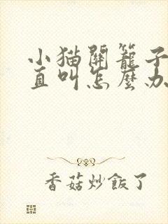 小猫关笼子里一直叫怎么办