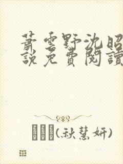 萧云野沈昭宁小说免费阅读最新章节