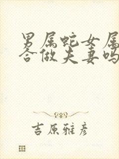 男属蛇女属蛇适合做夫妻吗