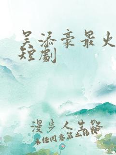 吴添豪最火十部短剧