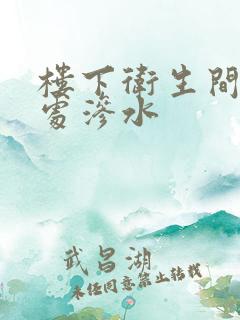 楼下卫生间管道处渗水