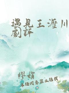 遇见王沥川精彩剧评