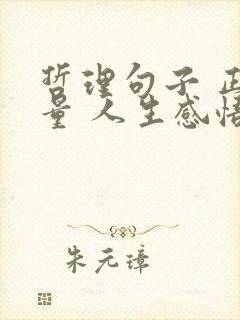 哲理句子 正能量 人生感悟 现实