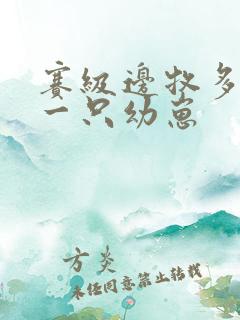 赛级边牧多少钱一只幼崽