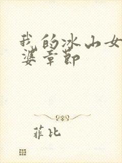 我的冰山女神老婆章节