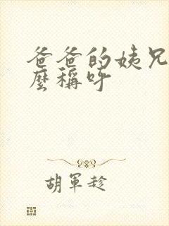 爸爸的姨兄弟怎么称呼