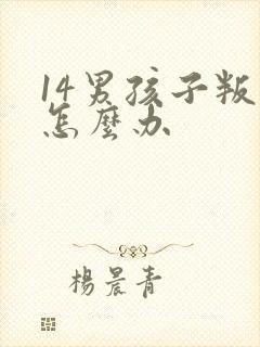 14男孩子叛逆怎么办