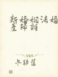 新婚姻法婚前财产归谁