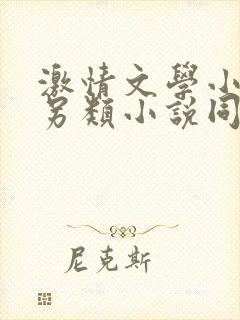 激情文学小说区另类小说同性