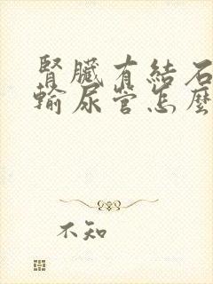 肾脏有结石掉到输尿管怎么排出来