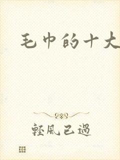 毛巾的十大品牌