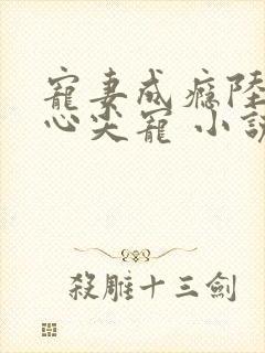 宠妻成瘾陆少的心尖宠 小说