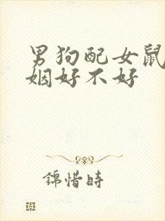 男狗配女鼠的婚姻好不好