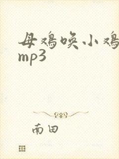 母鸡唤小鸡声音mp3